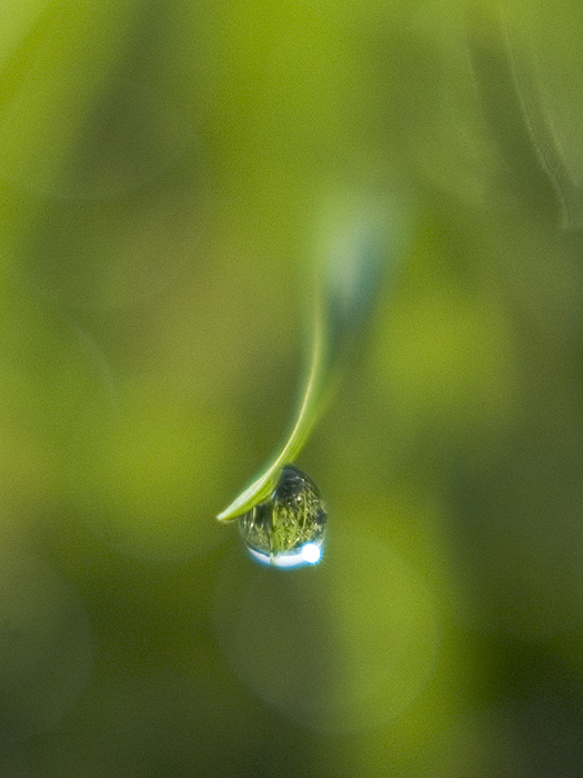 Morning Sphere: click for previous image