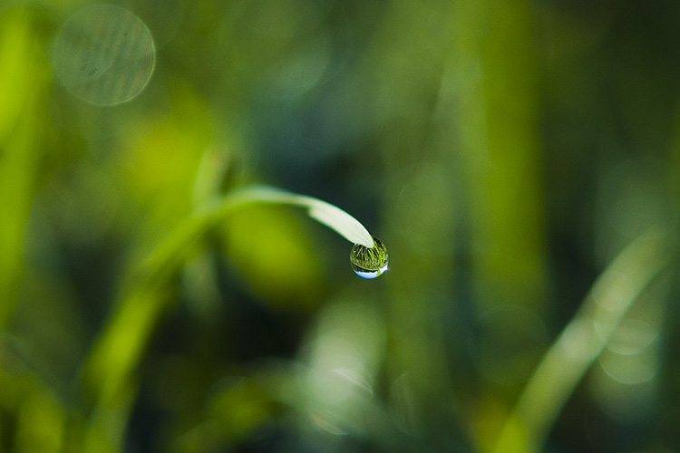 Morning Sphere II: click for previous image