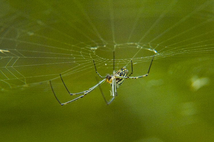 Upside-down View: click for previous image