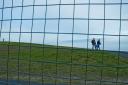 Around the Fence