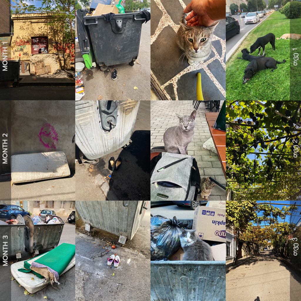 3 months in Tbilisi, stuff on the streets