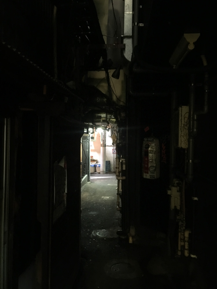Alley in Omoide Yokocho