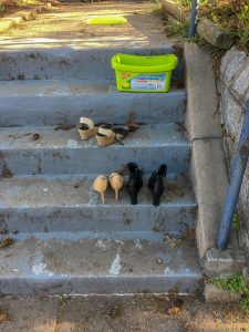 Like Some Beauty Pageants