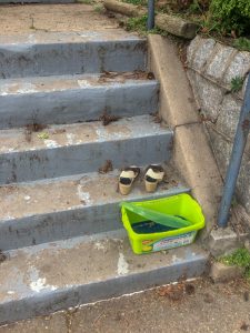 Last One Standing (on the Next Day)