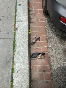 Can't Take It Anymore