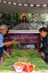 Virgin Mary and the Body