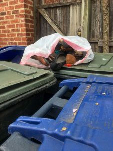 Spring clean