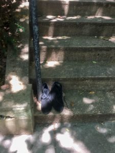 Black cats
