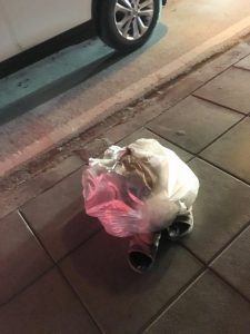 Hiding under the bag 3