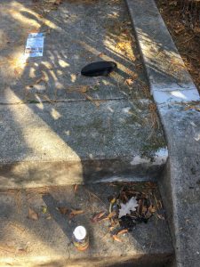 Day 8: anyone, please