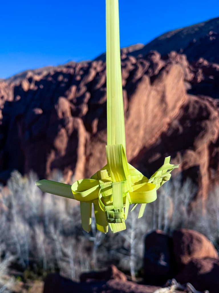 Dades Gorge, Morocco, January 2025